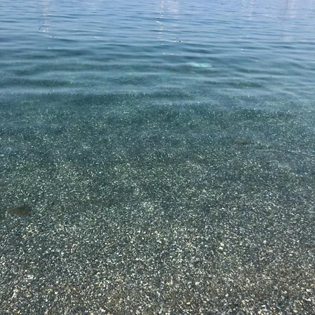 Akkan